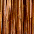 Natural Bamboo Stalks Mural Wallpaper — Organic Wood Tones Mural Wallpaper - room preview 04