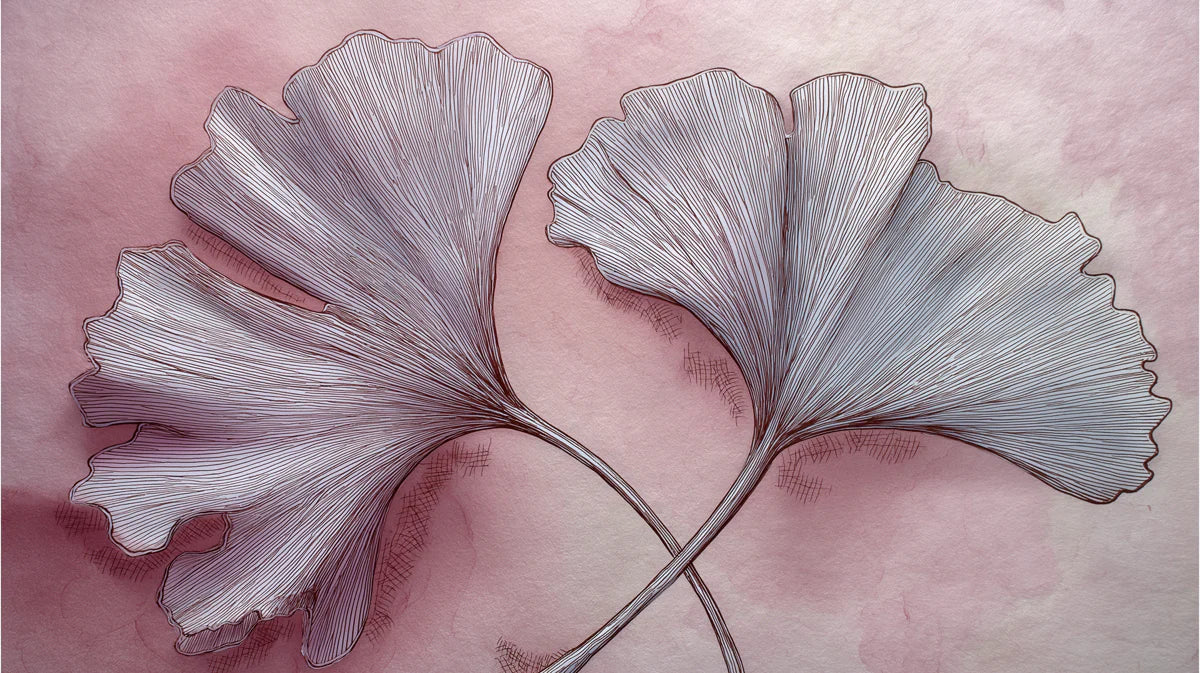 Abstract Ginkgo Leaf Mural Wallpaper — Soft Pink Botanical Art Mural Wallpaper - room preview 04