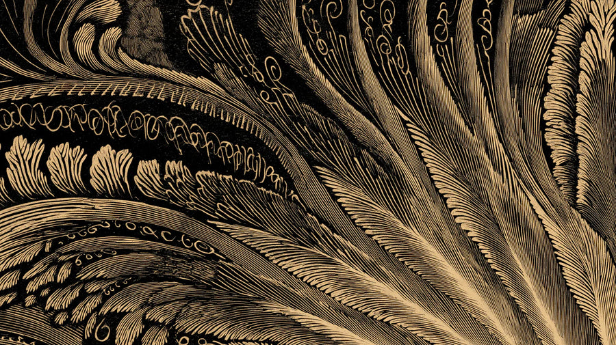 Peacock Wallpaper Mural – Bird Wall Mural – Gilded Feather Abstract — Dramatic Line Art printable artwork