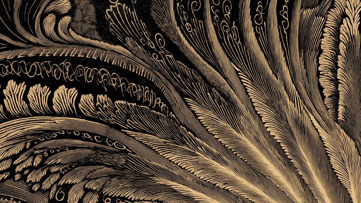 Gilded Feather Abstract Mural Wallpaper — Dramatic Line Art Mural Wallpaper - room preview 04