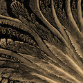 Gilded Feather Abstract Mural Wallpaper — Dramatic Line Art Mural Wallpaper - room preview 04