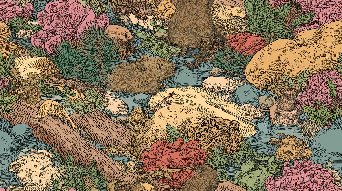 Woodland Creek Illustration Mural Wallpaper —Whimsical Forest Fauna Mural Wallpaper - room preview 04