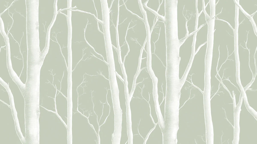 Papier peint mural Forêt de bouleaux brumeuse — Papier peint mural doux sauge et blanc printable artwork