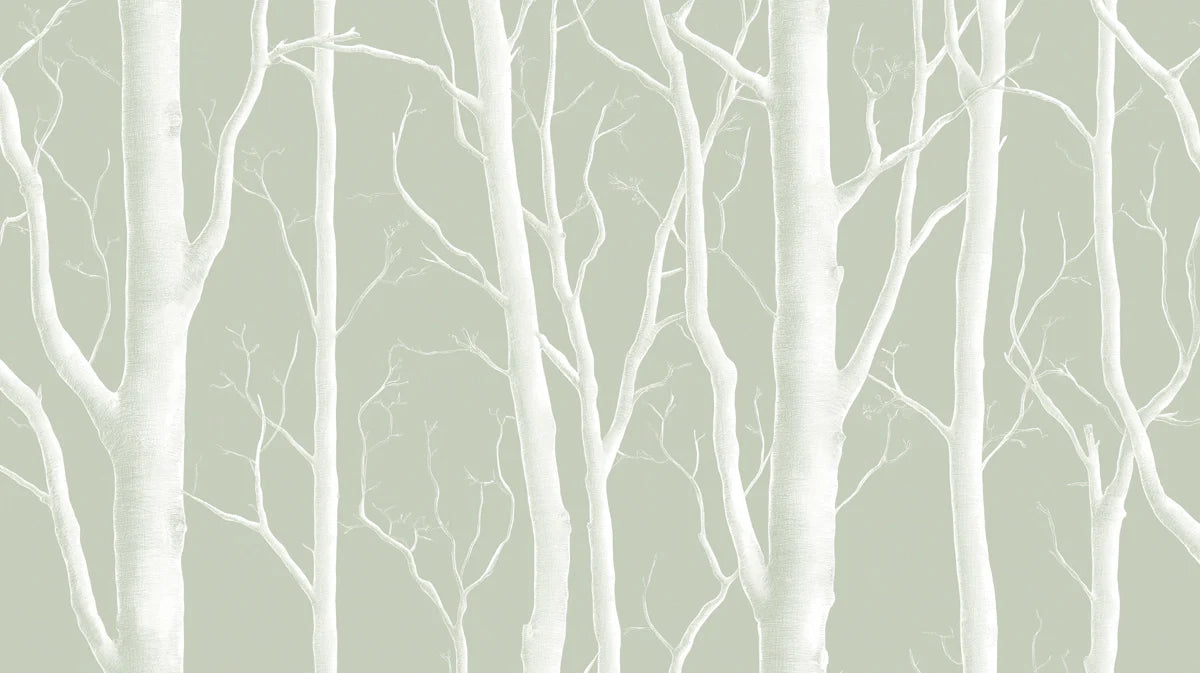 Misty Birch Forest Mural Wallpaper — Soft Sage and White Mural Wallpaper - room preview 04