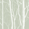 Misty Birch Forest Mural Wallpaper — Soft Sage and White Mural Wallpaper - room preview 04