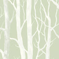 Sage Birch Tree Mural Wallpaper — Minimalist Woodland Design Mural Wallpaper - room preview 04
