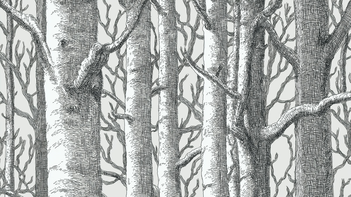 Graphic Birch Forest Mural Wallpaper — Detailed Sketch Design Mural Wallpaper - room preview 04