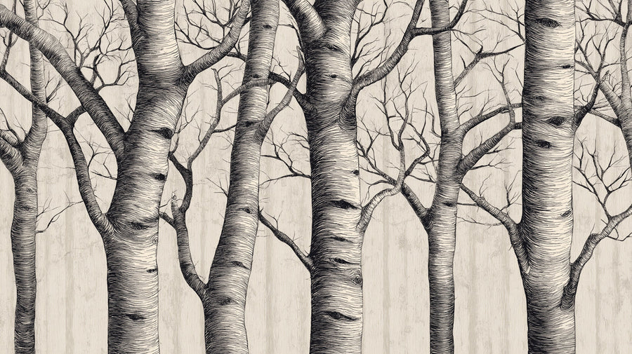 Papier peint mural Forêt de bouleaux minimaliste — Papier peint mural artistique esquissé détaillé printable artwork
