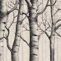 Minimalist Birch Forest Mural Wallpaper — Detailed Sketch Art Mural Wallpaper - room preview 04