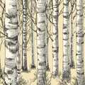Vintage Birch Forest Mural Wallpaper — Sketch Style Woodland Mural Wallpaper - room preview 04