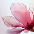 Translucent Pink Orchid Mural Wallpaper — Ethereal Macro Floral Art Mural Wallpaper - room preview 04