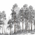 Sketch Forest Mural Wallpaper — Monochrome Woodland Landscape Mural Wallpaper - room preview 04