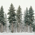 Snowy Pine Forest Mural Wallpaper — Impressionistic Winter Landscape Mural Wallpaper - room preview 04