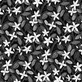Jasmine Grove Mural Wallpaper — Monochromatic Floral Pattern Mural Wallpaper - room preview 04