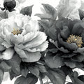 Monochrome Peony Floral Mural Wallpaper — Elegant Black and White Mural Wallpaper - room preview 04