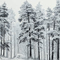 Snowy Pine Forest Mural Wallpaper — Monochrome Winter Landscape Mural Wallpaper - room preview 04