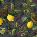Vintage Lemon and Songbird Mural Wallpaper in Dark Charcoal Mural Wallpaper - room preview 04