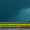 Stormy Horizon Mural Wallpaper — Impressionistic Landscape Design Mural Wallpaper - room preview 04
