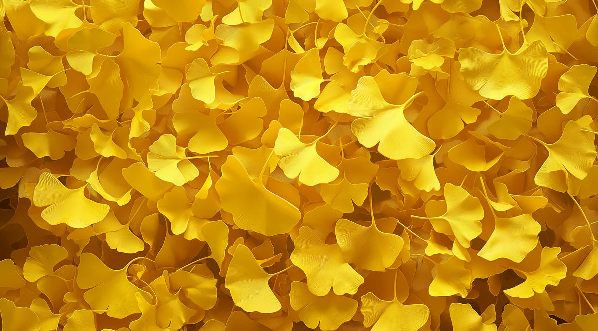 Golden Ginkgo Leaf Mural Wallpaper —Vibrant Autumnal Pattern Mural Wallpaper - room preview 04