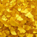 Golden Ginkgo Leaf Mural Wallpaper —Vibrant Autumnal Pattern Mural Wallpaper - room preview 04
