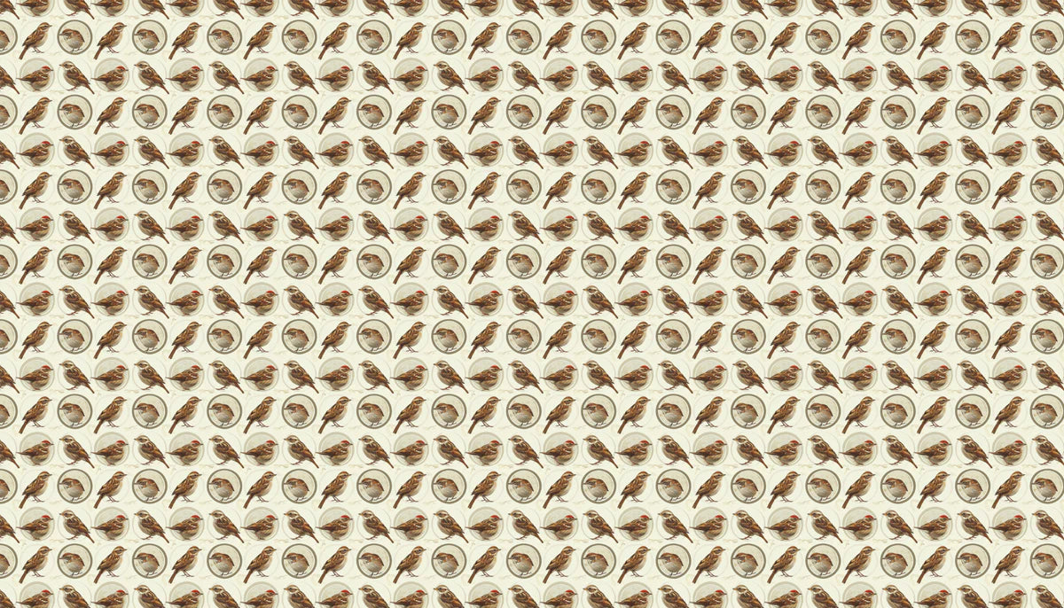 Vintage Sparrow Medallion Mural Wallpaper — Classic Bird Design Mural Wallpaper - room preview 04