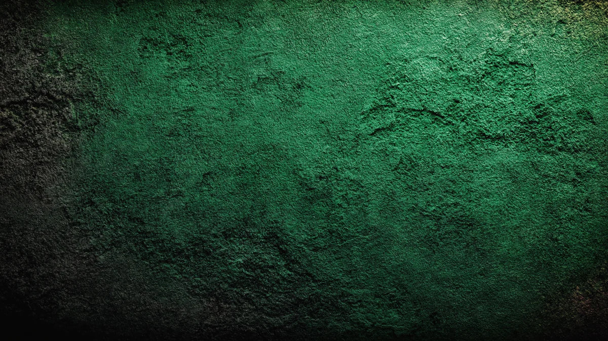 Deep Forest Green Concrete Mural Wallpaper — Textured Wall Finish Mural Wallpaper - room preview 04