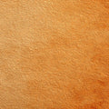 Sun-Drenched Amber Abstract Mural Wallpaper — Textured Fiber Design Mural Wallpaper - room preview 04
