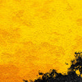 Sun-Drenched Ochre Mural Wallpaper with Abstract Ink Accents Mural Wallpaper - room preview 04
