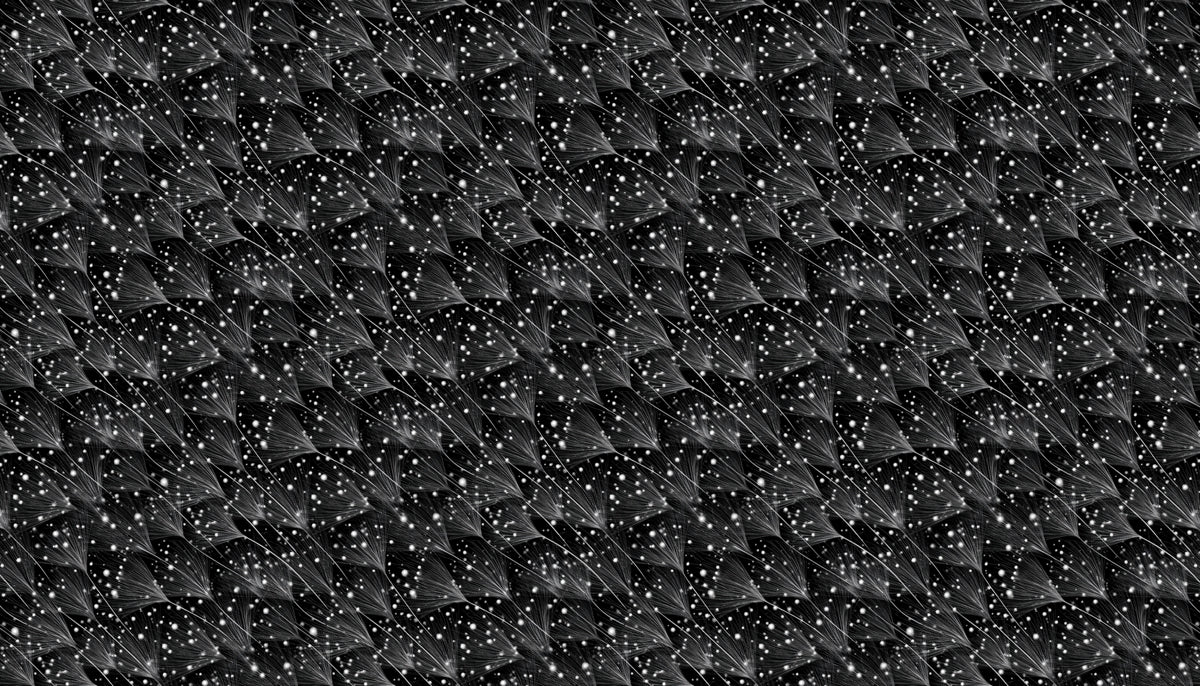 Abstract Dandelion Seed Mural Wallpaper in Monochrome Mural Wallpaper - room preview 04
