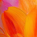 Vibrant Abstract Brushstroke Mural Wallpaper — Sunset Hues Mural Wallpaper - room preview 04