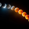 Lunar Eclipse Progression Mural Wallpaper Full Color Shift, Time-Lapse Celestial Event, Dark Background Mural Wallpaper - room preview 04