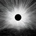 Solar Eclipse Radial Mural Wallpaper — Dramatic Monochrome Graphic Mural Wallpaper - room preview 04
