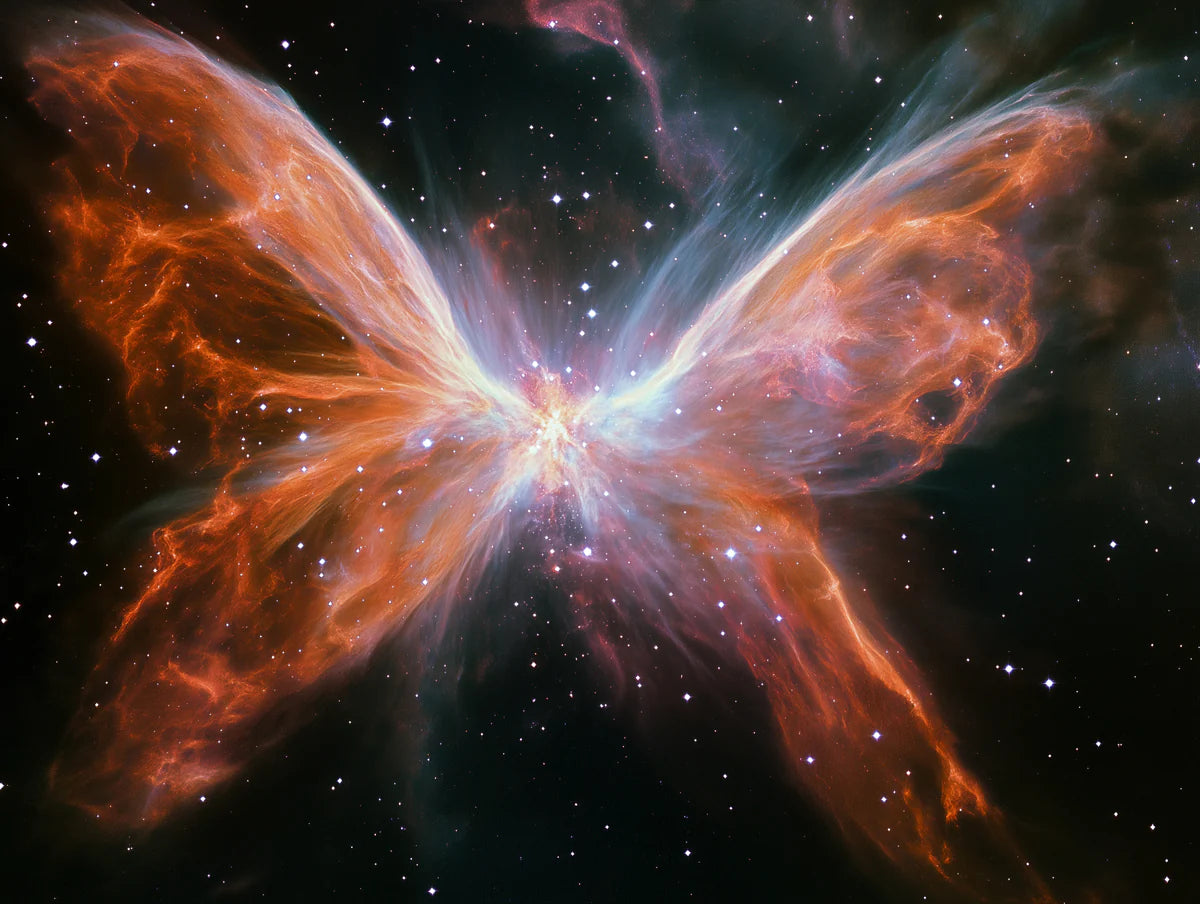 Cosmic Butterfly Nebula Mural Wallpaper — Celestial Art Decor Mural Wallpaper - room preview 04