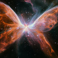 Cosmic Butterfly Nebula Mural Wallpaper — Celestial Art Decor Mural Wallpaper - room preview 04