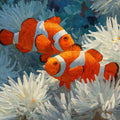 Clownfish and White Anemone Impasto Mural Wallpaper - room preview 04