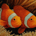 Clownfish and Anemone Mural Wallpaper — Intricate Macro Art Mural Wallpaper - room preview 04