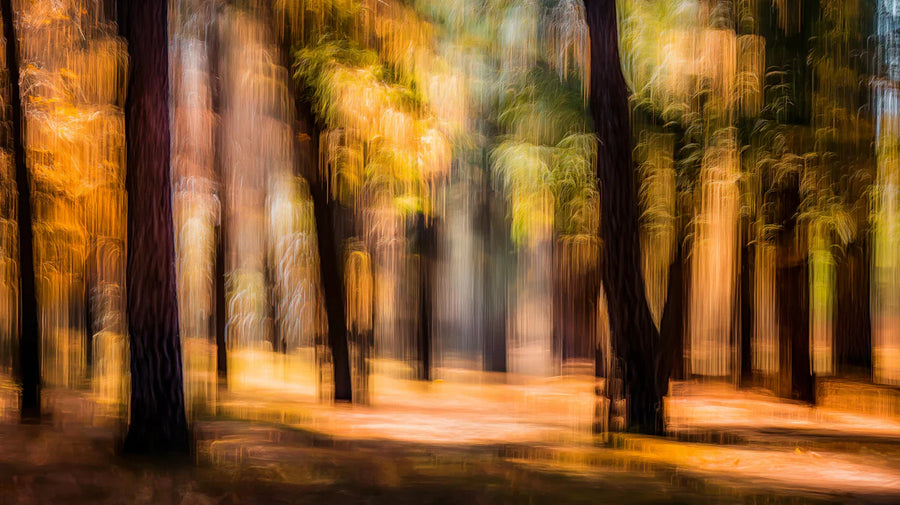 Forest Wallpaper Mural – Woodland Wall Mural – Autumn Forest Motion Blur — Ethereal Woodland Art printable artwork