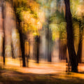 Autumn Forest Motion Blur Mural Wallpaper — Ethereal Woodland Art Mural Wallpaper - room preview 04