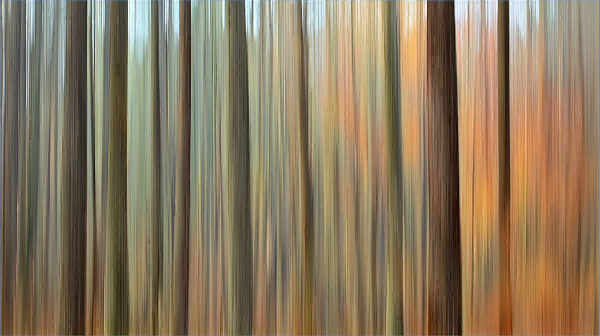 Blurred Autumn Woodland Mural Wallpaper — Painterly Forest Design Mural Wallpaper - room preview 04
