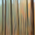 Blurred Autumn Woodland Mural Wallpaper — Painterly Forest Design Mural Wallpaper - room preview 04