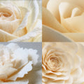 Quad Rose Mosaic Mural Wallpaper — Cream and Soft Amber Tones Mural Wallpaper - room preview 04