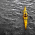 Solo Yellow Kayak Mural Wallpaper — Dramatic Oil Painting Style Mural Wallpaper - room preview 04