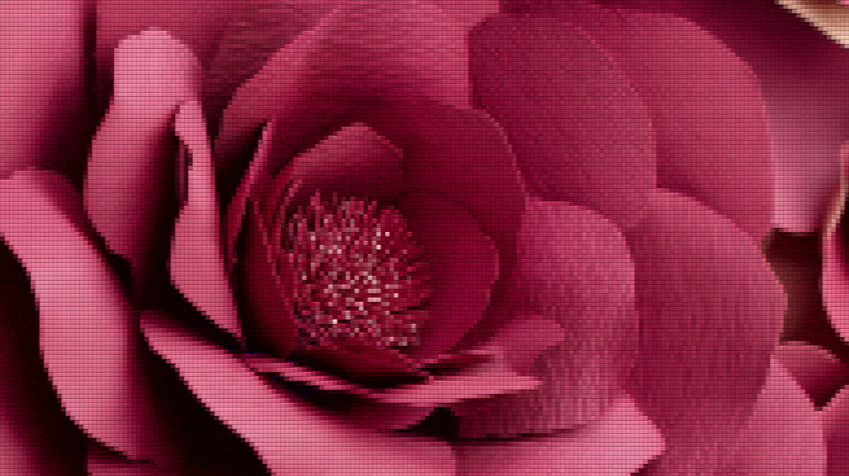 Pixel Rose Floral Mural Wallpaper — Modern Digital Mosaic Art Mural Wallpaper - room preview 04
