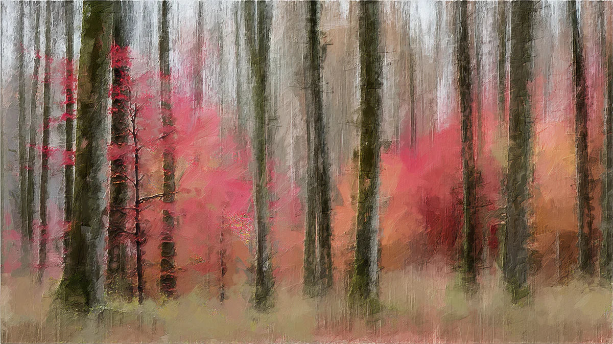 Abstract Autumn Forest Mural Wallpaper — Impressionistic Woodland Mural Wallpaper - room preview 04