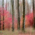 Abstract Autumn Forest Mural Wallpaper — Impressionistic Woodland Mural Wallpaper - room preview 04