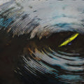 Kayak Vortex Mural Wallpaper — Dynamic Abstract Expressionism Mural Wallpaper - room preview 04