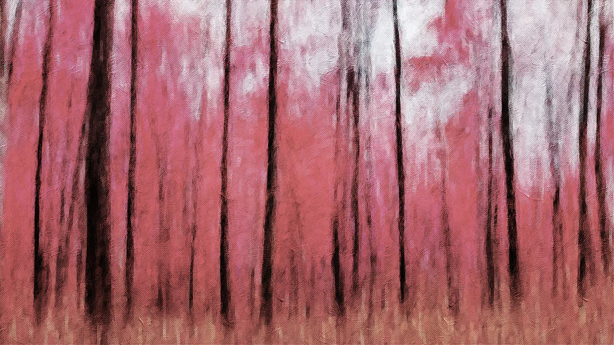 Abstract Pink Forest Oil Painting Mural Wallpaper — Expressive Art Mural Wallpaper - room preview 04