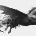 Winged Unicorn Ink Wash Mural Wallpaper — Gothic Fantasy Art Mural Wallpaper - room preview 04