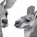 Kangaroo Line Art Mural Wallpaper — Monochromatic Graphic Motif Mural Wallpaper - room preview 04