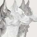Abstract Canine Profile Mural Wallpaper — Modern Fine Line Art Mural Wallpaper - room preview 04